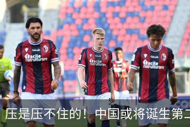 压是压不住的！中国或将诞生第二个华为