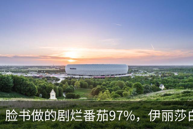 脸书做的剧烂番茄97%，伊丽莎白·奥尔森这部没人看过